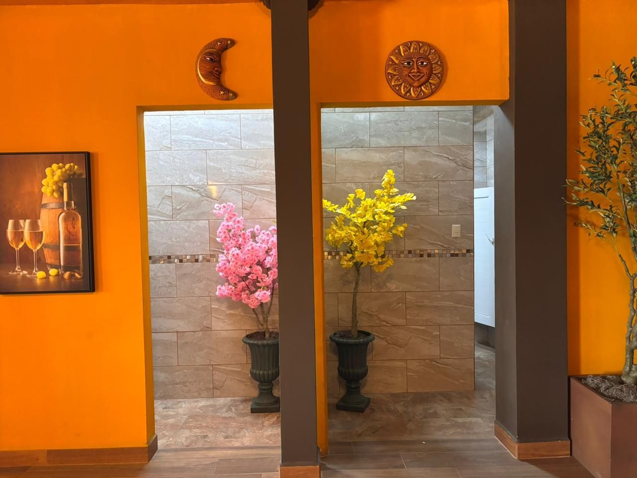 Valle nuevo Imagen 161