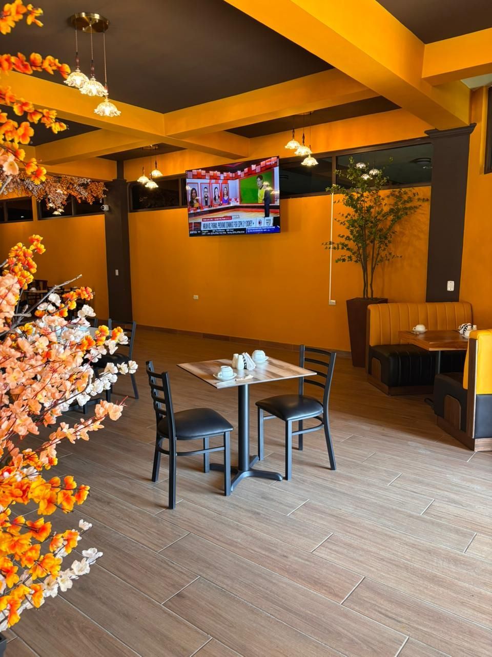 Valle nuevo Imagen 165