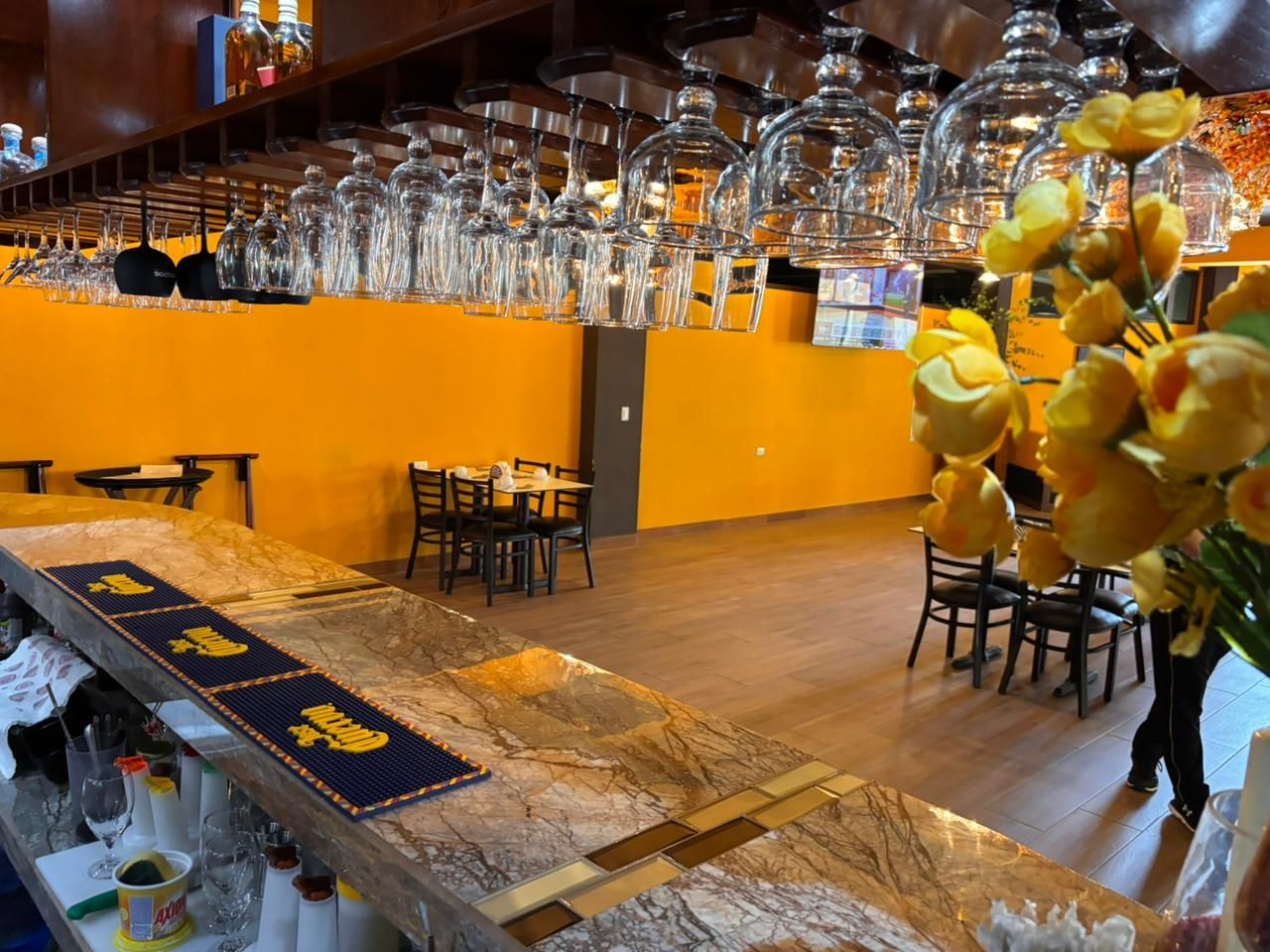 Valle nuevo Imagen 164