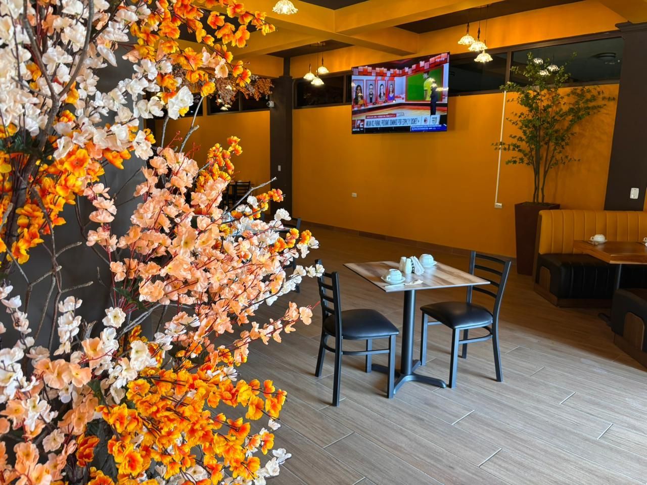 Valle nuevo Imagen 170