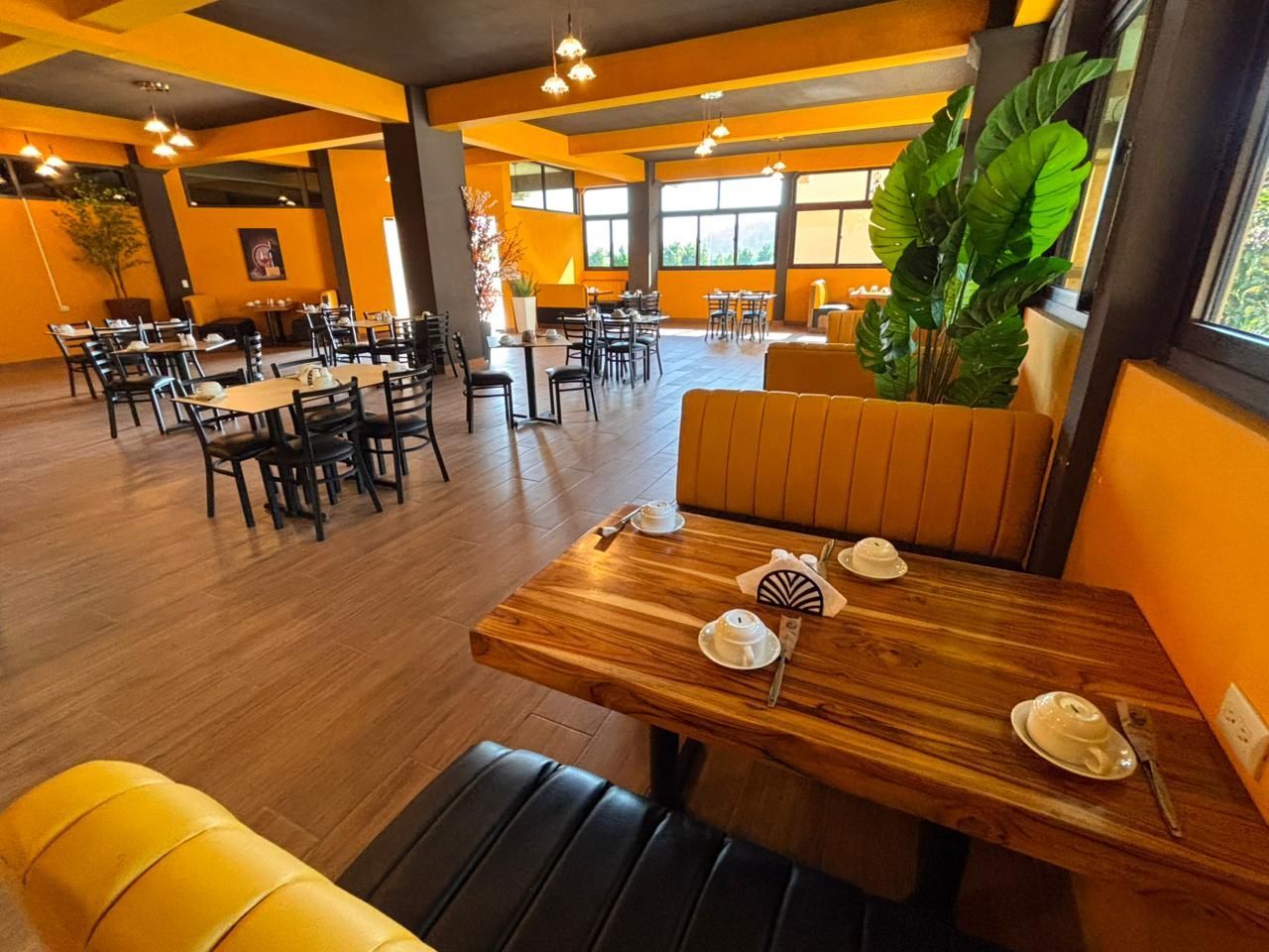 Valle nuevo Imagen 178