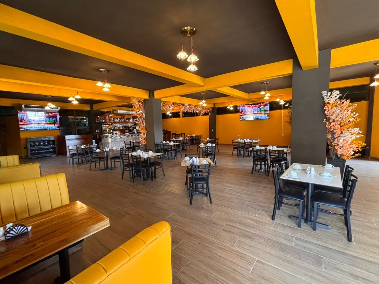 Valle nuevo Imagen 179