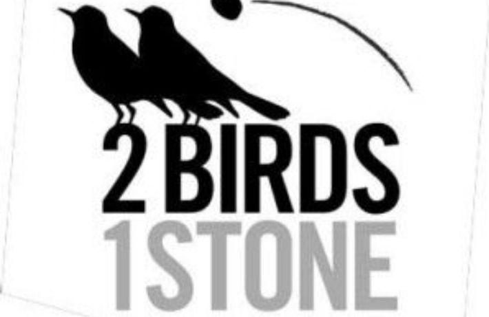 2BIRDS - 1 STONE WINDOW CLEANING SERVICE IN METRO-DETROIT, MICHIGAN