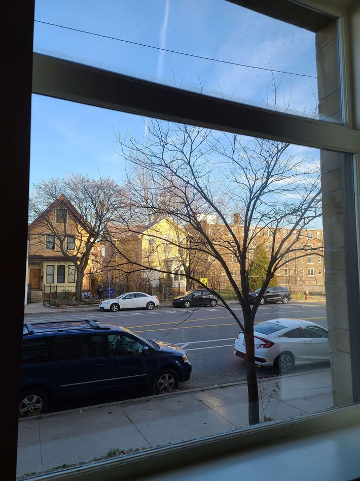 CLEAN WINDOWS AFTER CLEANED BY 2BIRDS-1STONE WINDOW CLEANING SERVICE