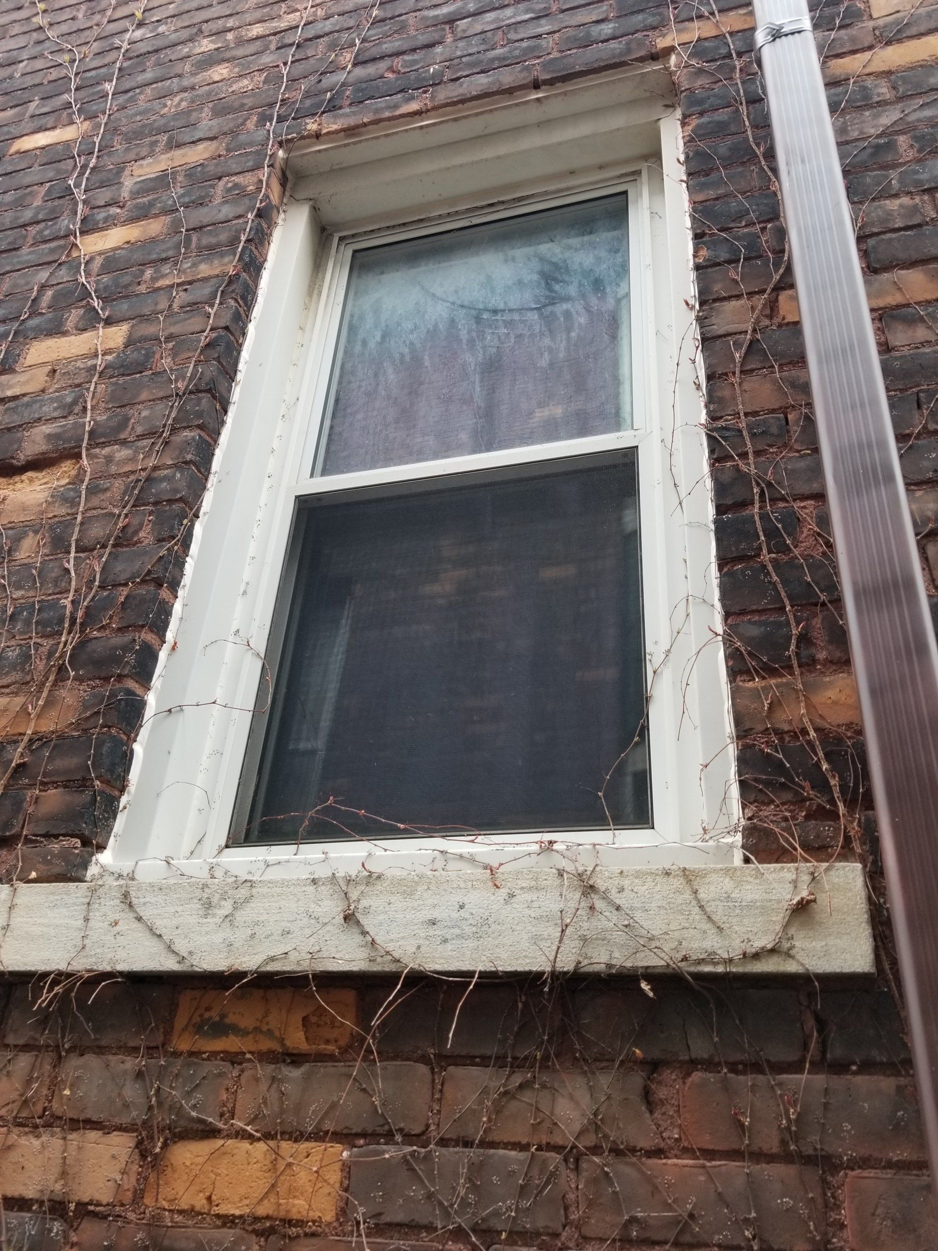 Dirty windows