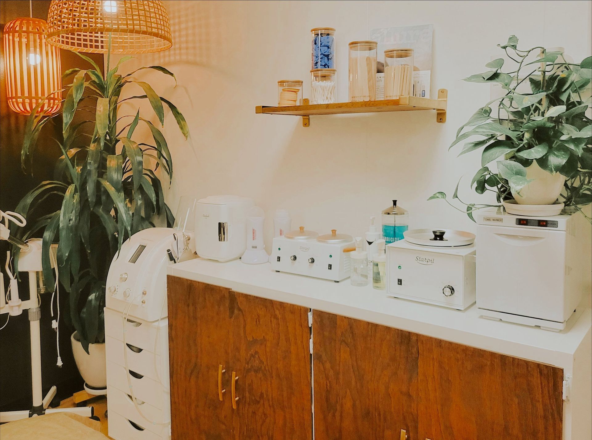 A kitchen with a lot of appliances and a plant on the counter.