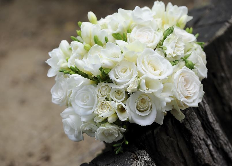 cremation services Norman, OK