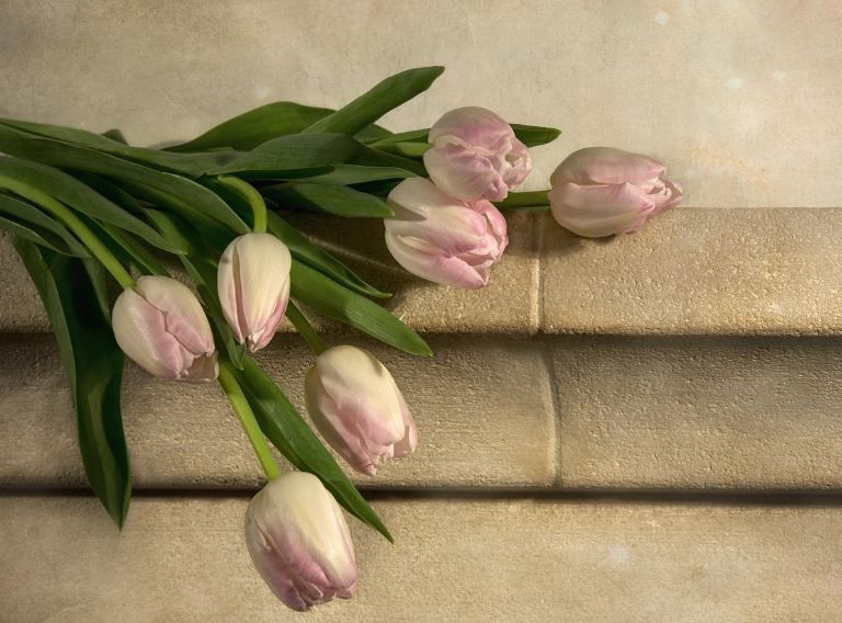 funeral homes Moore, O