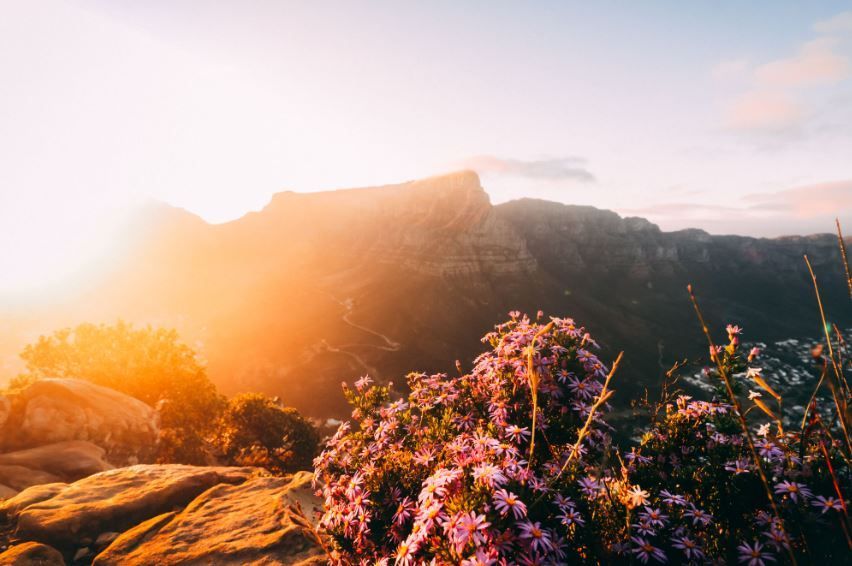 Mountain sunset with pink wildflowers showing a life well remembered, cremation services Norman, OK
