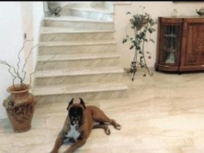 Pavimenti e scale in marmo