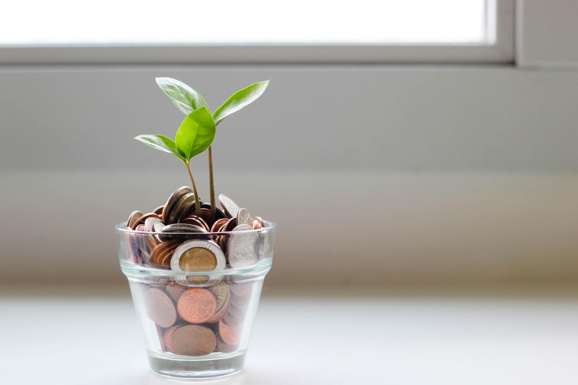 Important Estate Planning Factors