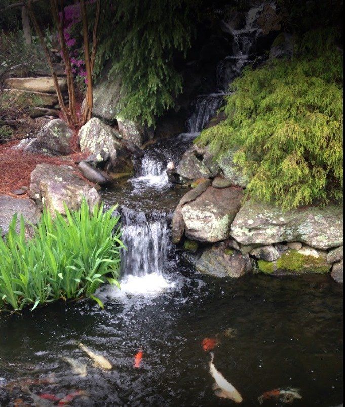 Beautiful Koi Pond — Asheville, NC — Green Outdoors Landscaping & Nursery