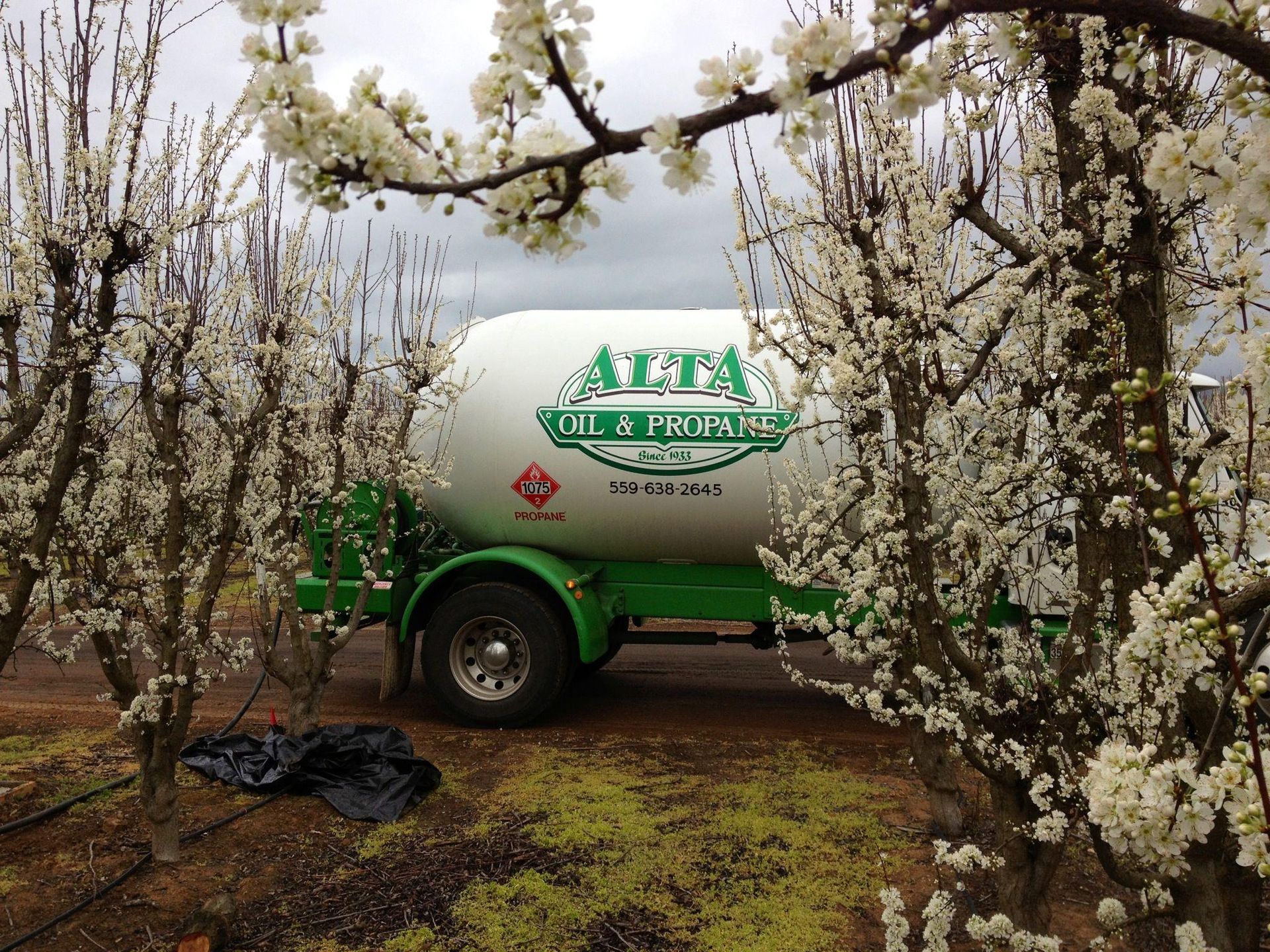 Propane tank trailer in orchard with white blossoms.