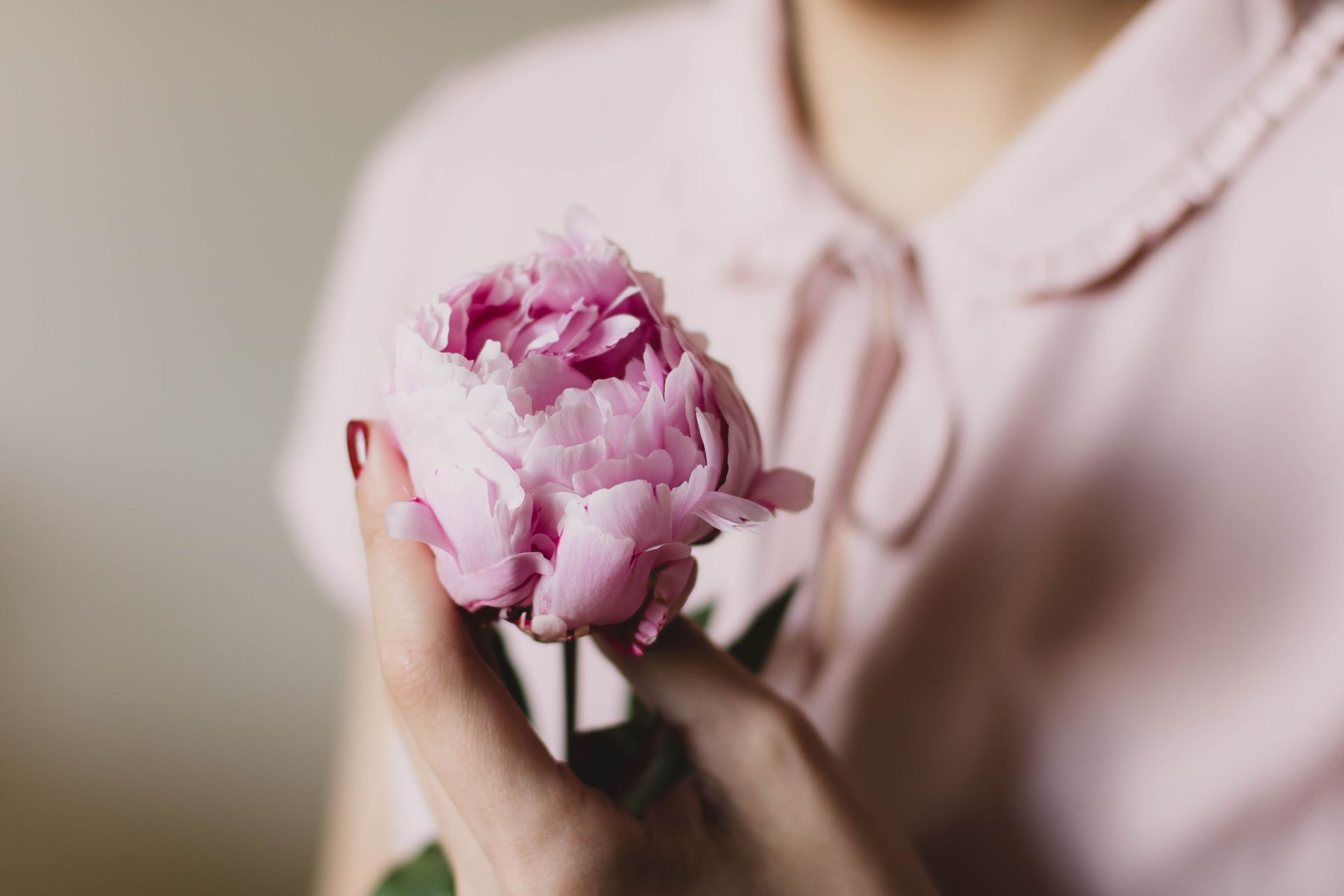 Hand holding a pink flower near a person in a light pink blouse