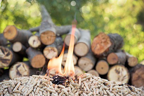 Pellet in varie tipologie e articoli