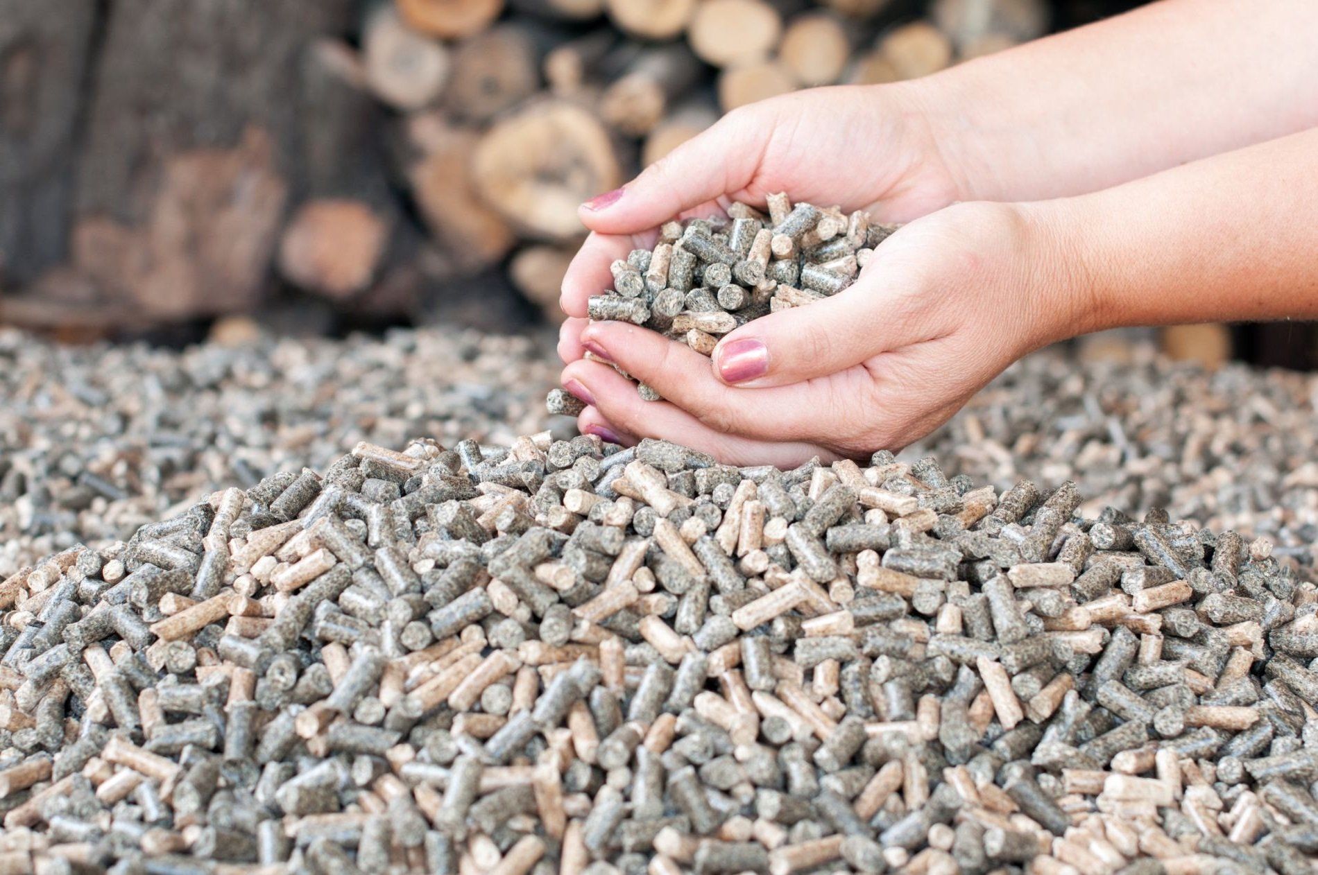 Pellet: i suoi numerosi vantaggi