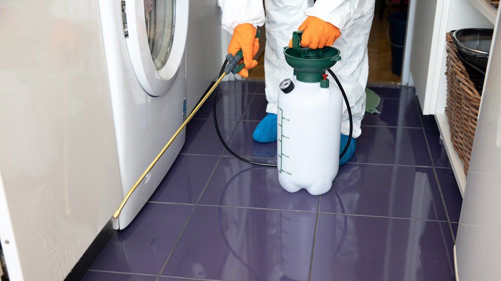 Pest Control — Egg Harbor, NJ — Best Eastern Exterminating Corp