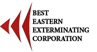 Best Eastern Exterminating Corp