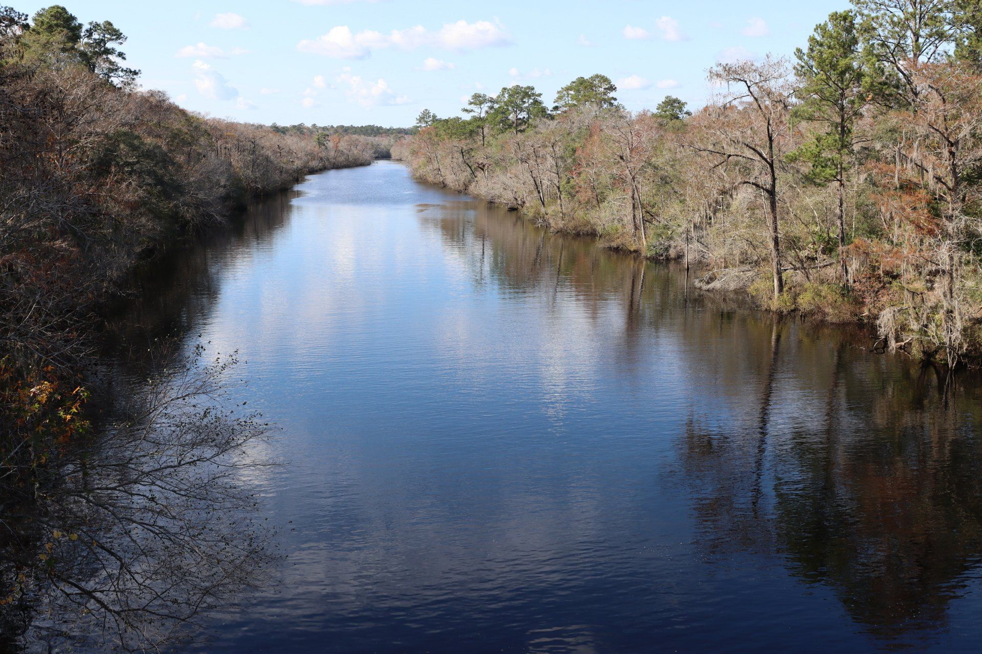 A river surrounded by trees on a sunny day