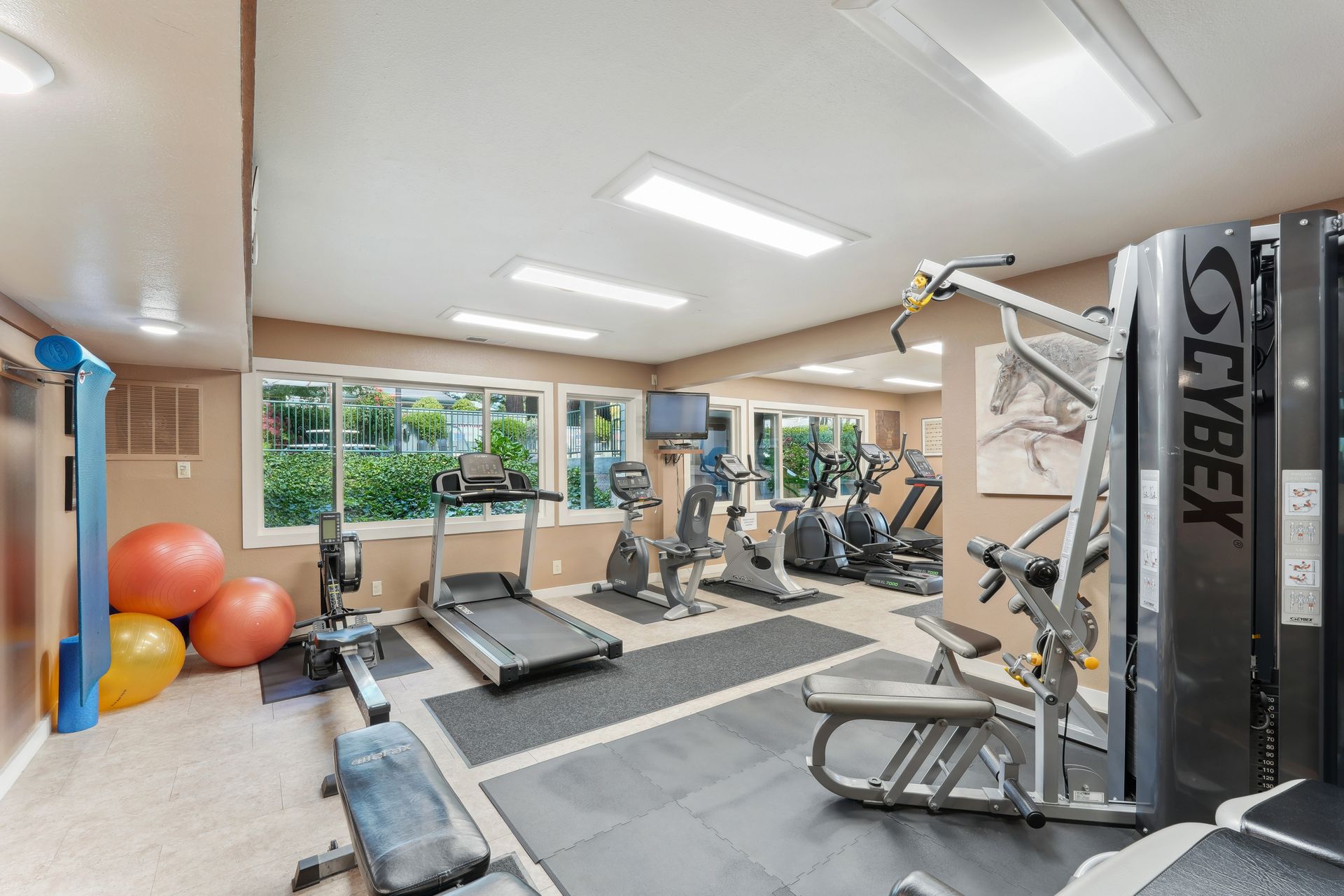 A gym with a treadmill , exercise bike , and other exercise equipment.