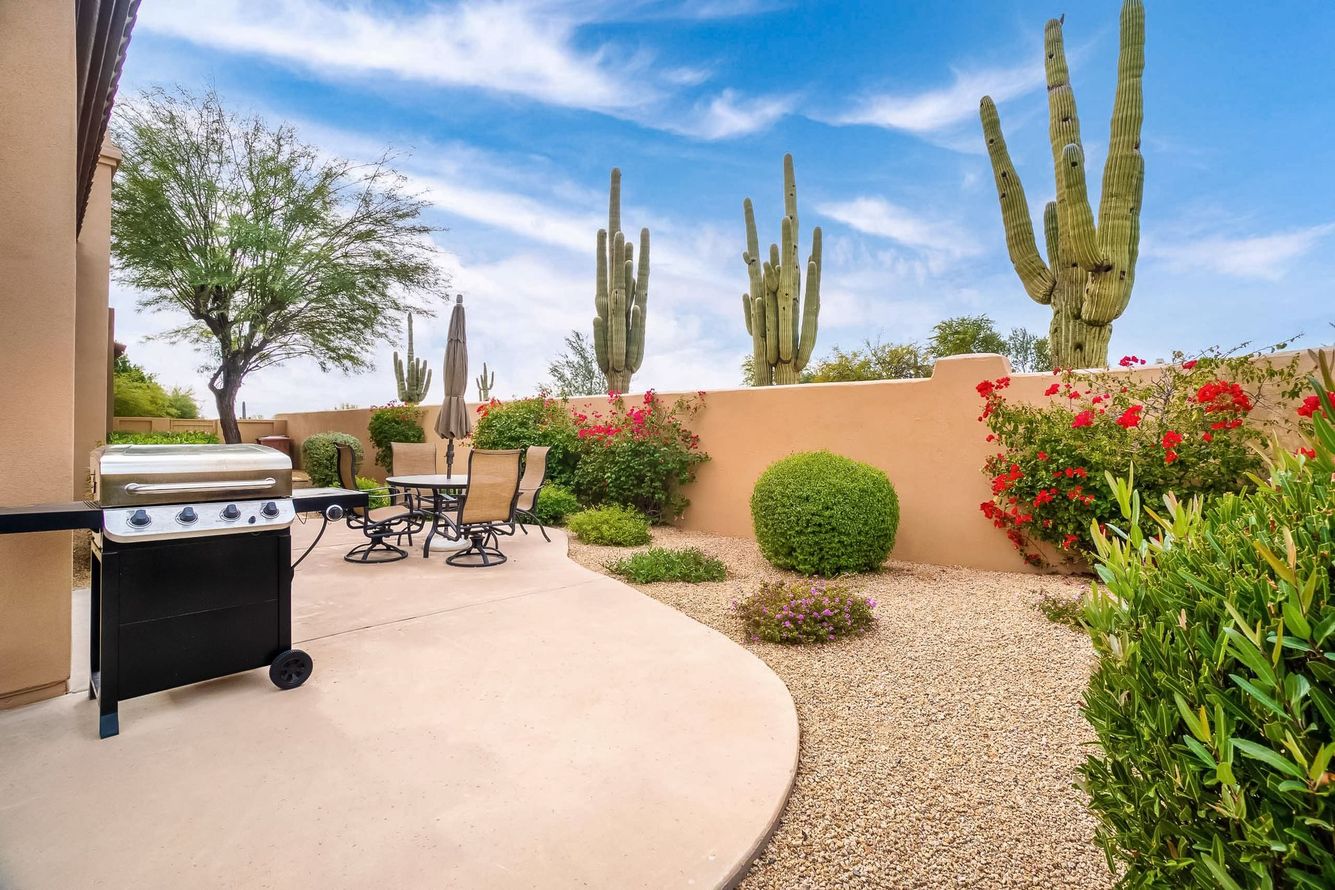 A patio with a grill and cactus in the background