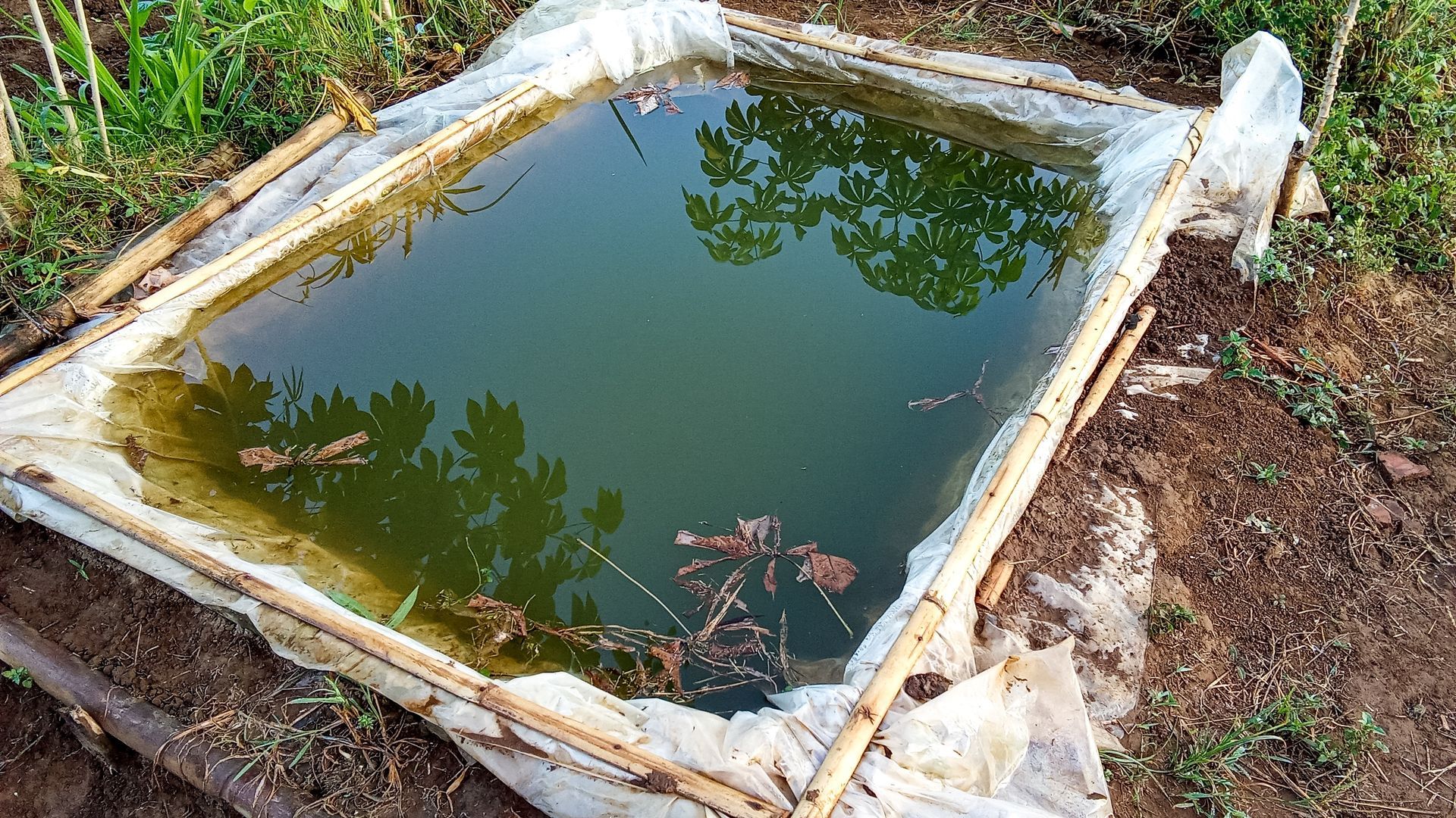A small pond with a wooden frame surrounding it