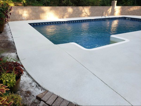 A concrete patio surrounds a blue-tiled swimming pool. Green plants border the patio; a tan wall is in the background.