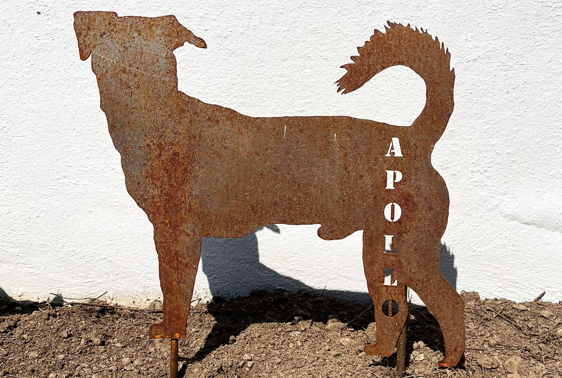 Gartenstecker aus rostigem Metall mit Hundesilhouette und dem Schriftzug „APOLLO“, der in Erde steht, vor einer weißen Wand.