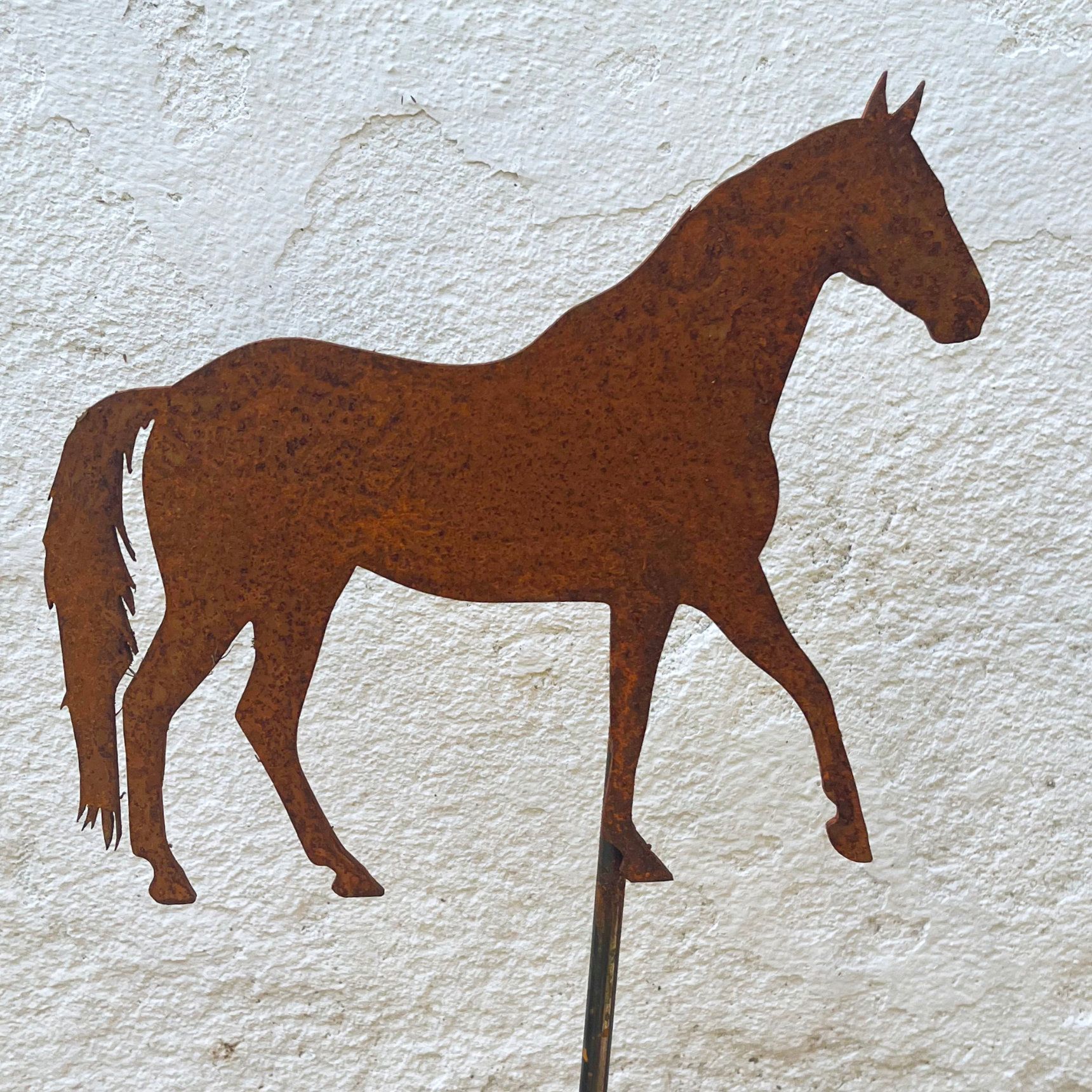 Silhouette eines rostbraunen Pferdes vor einer weißen Stuckwand.