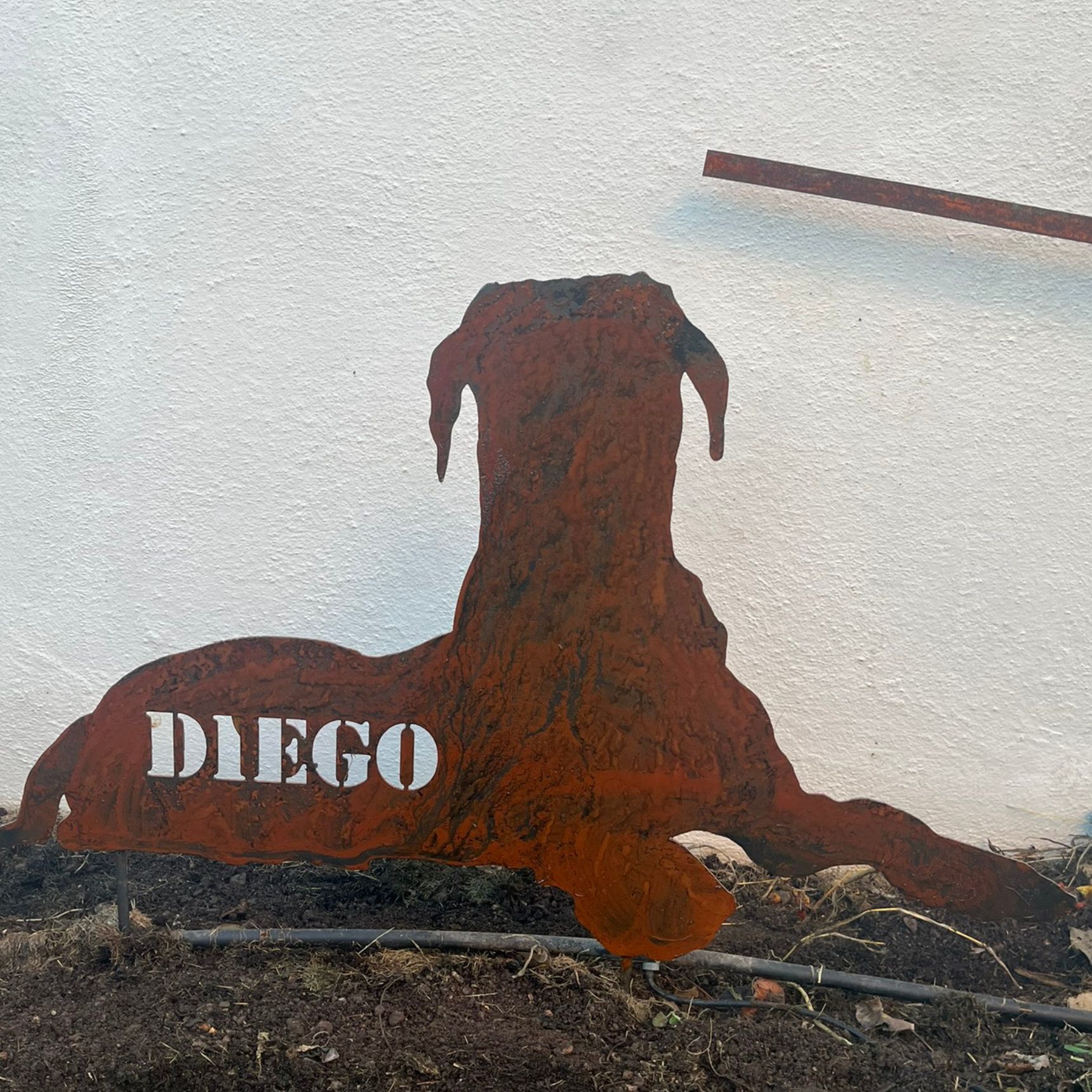 Eine ausgeschnittene Hundefigur aus rostigem Metall an einer weißen Wand, mit dem Schriftzug „DIEGO“ in weißen Buchstaben.