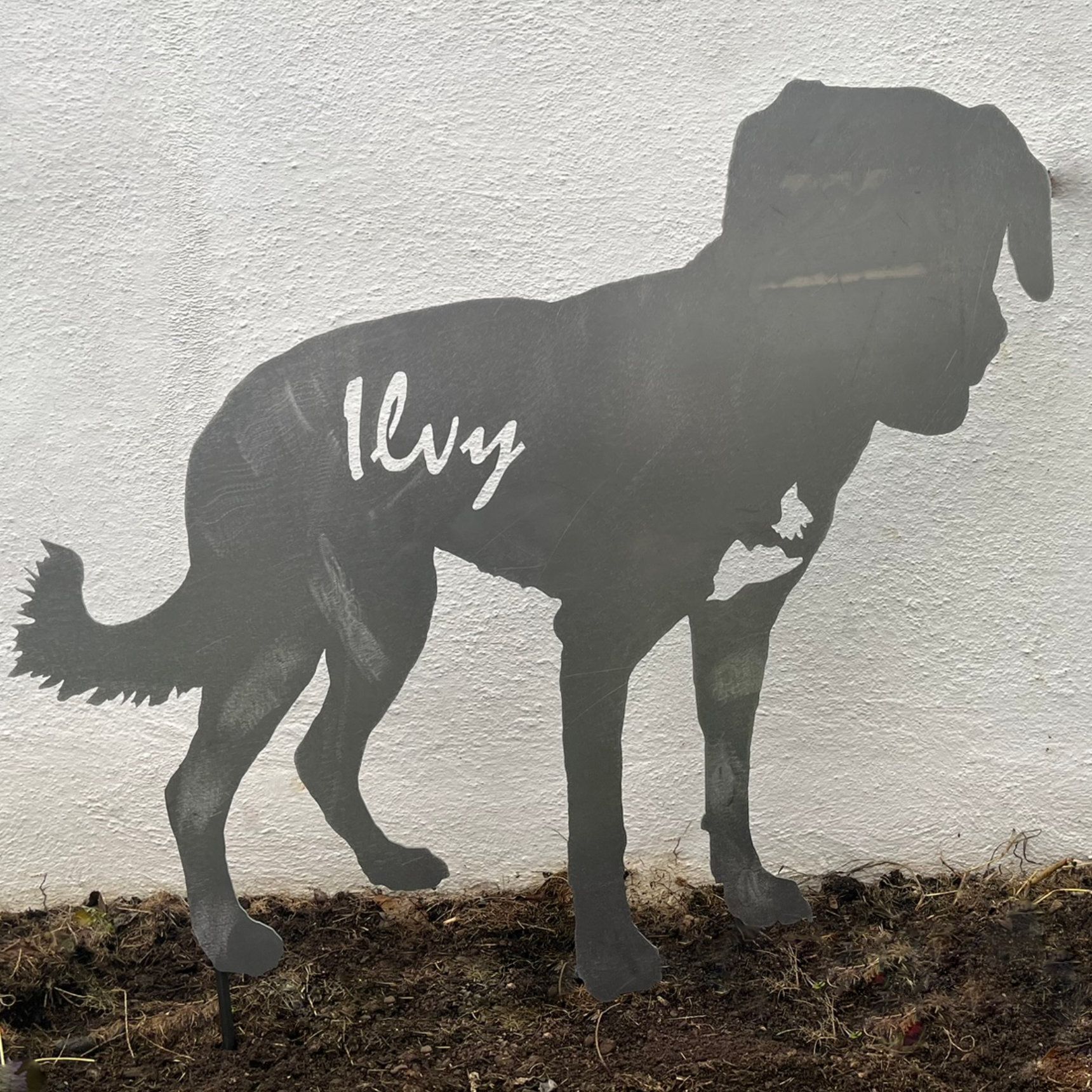 Metallene Silhouette eines Hundes namens Ivy an einer weißen Wand, stehend auf brauner Erde.
