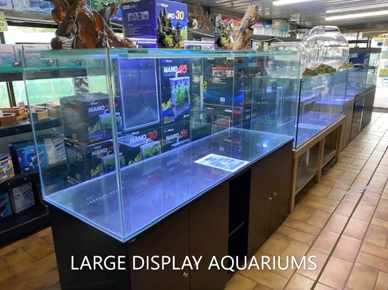 Large Glass Display Aquariums in Pet Store — Summerland Aquarium in Wollongbar, NSW