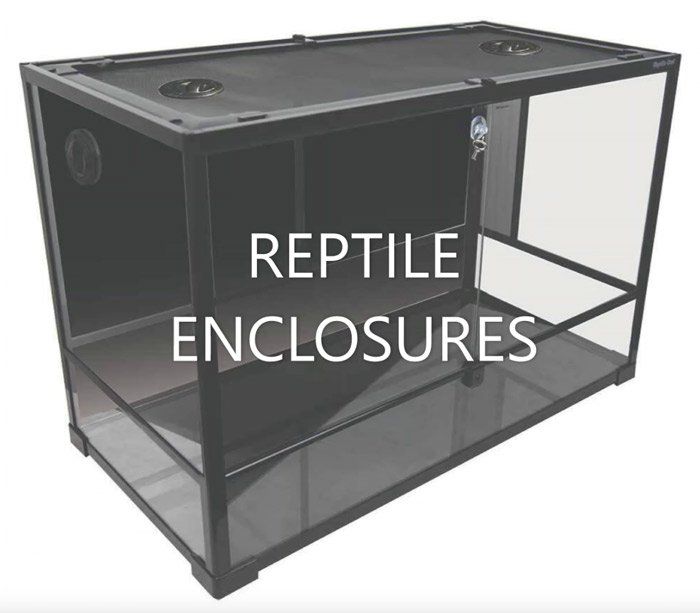 Reptile Enclosures — Summerland Aquarium in Wollongbar, NSW
