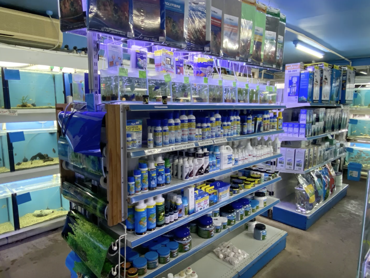 Chemicals for Fish Tanks — Summerland Aquarium in Wollongbar, NSW