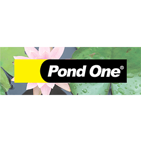 Pond One