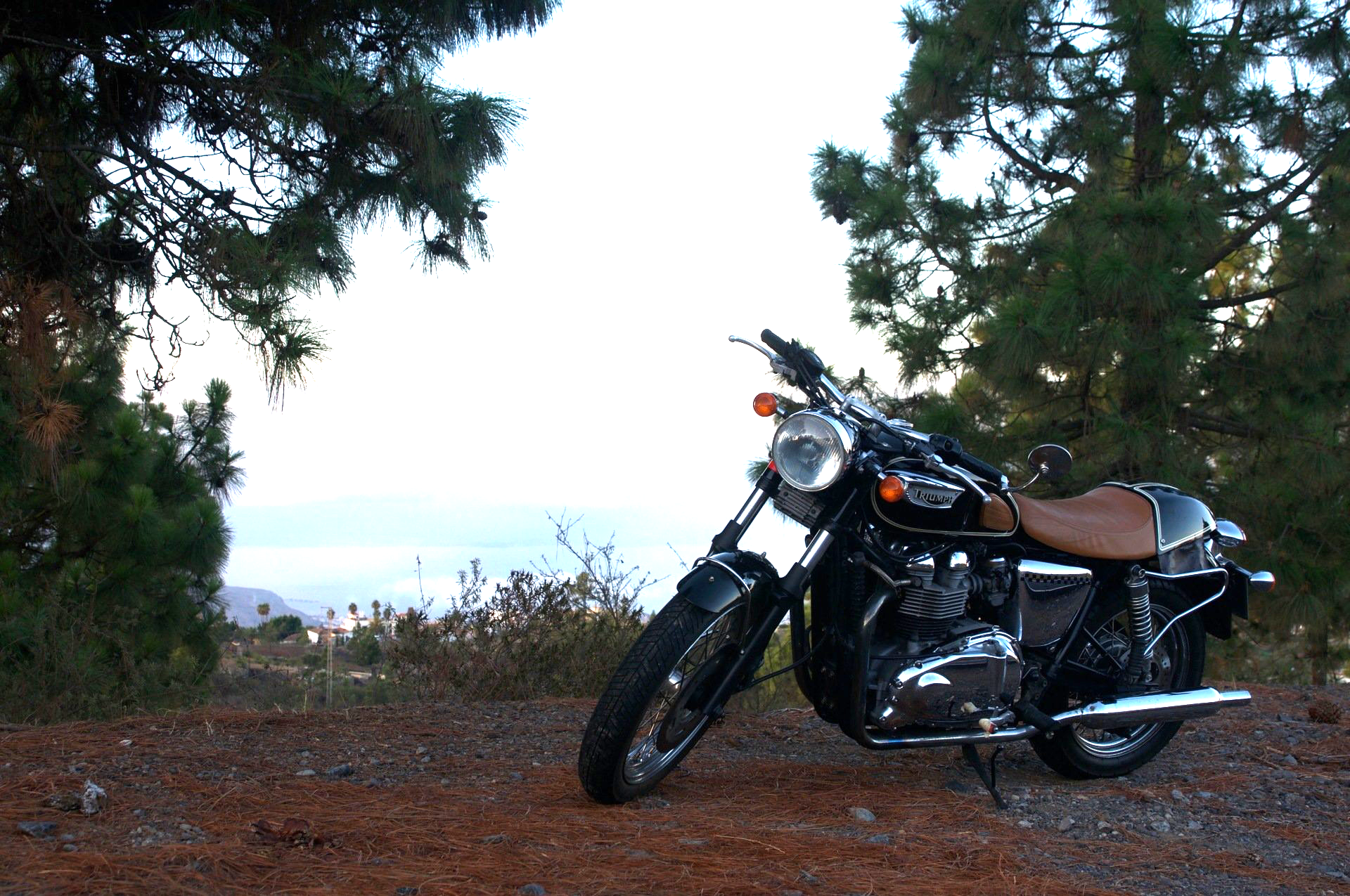 A motorcycle is parked under a tree on a dirt road