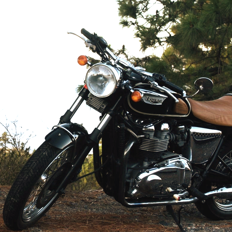 A black triumph motorcycle is parked on the side of the road