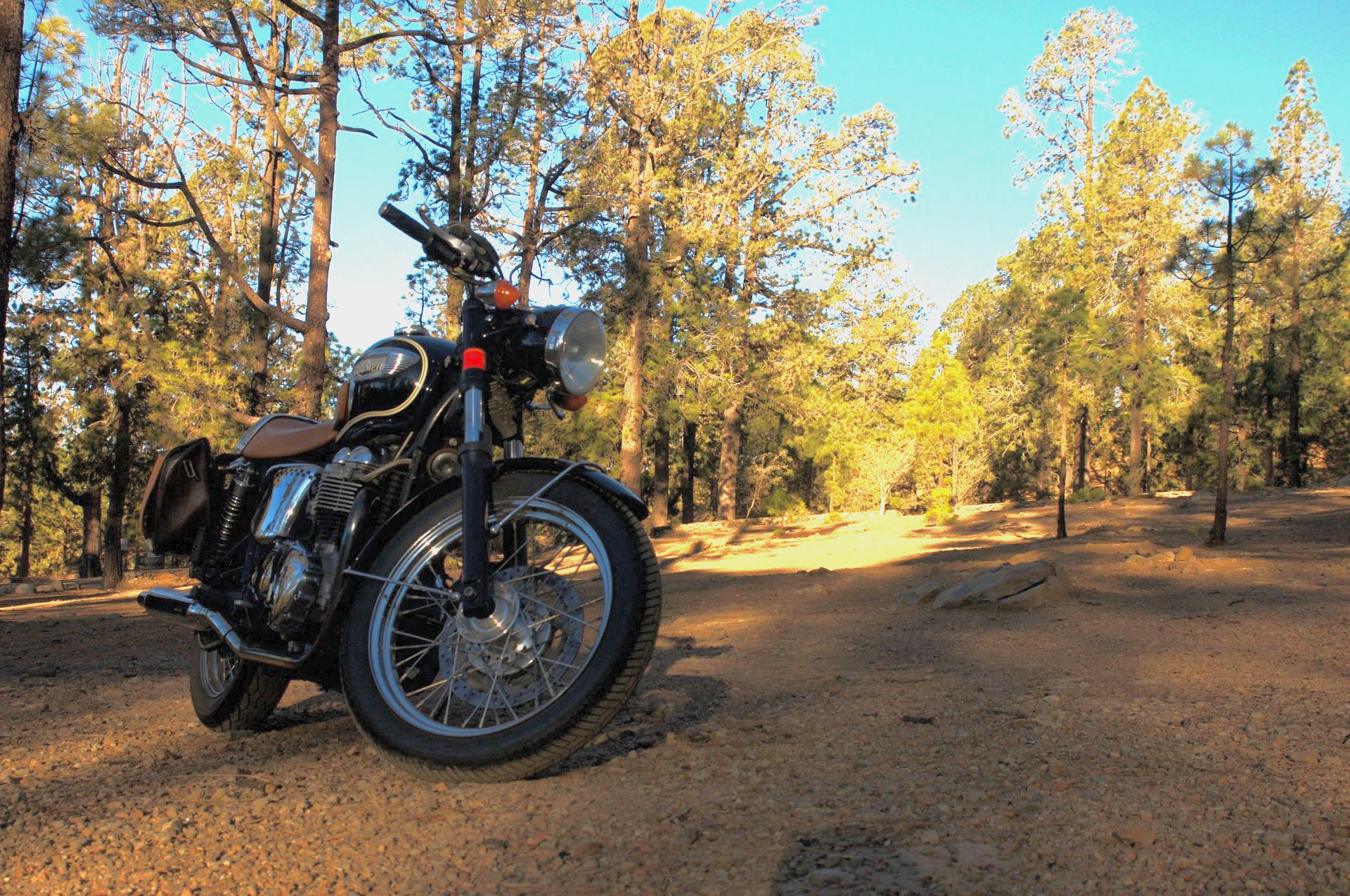 A motorcycle is parked in the middle of a forest.
