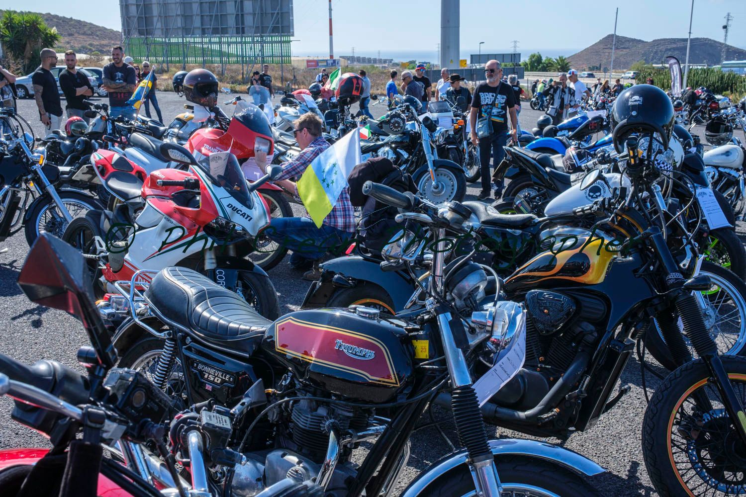 A lot of motorcycles are parked in a parking lot.