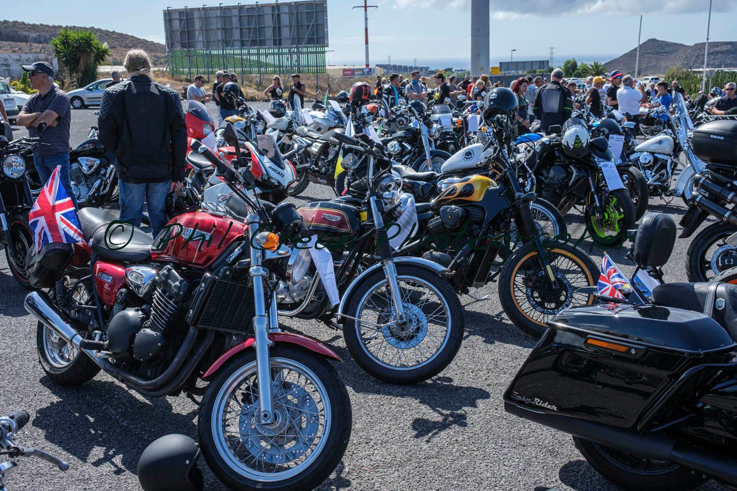 A lot of motorcycles are parked in a parking lot