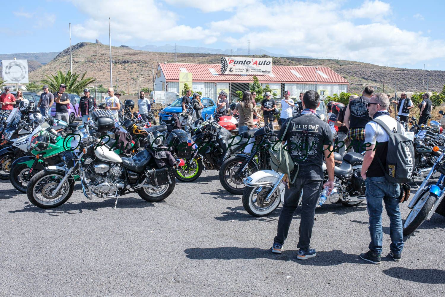 A group of people are standing in front of a row of motorcycles.