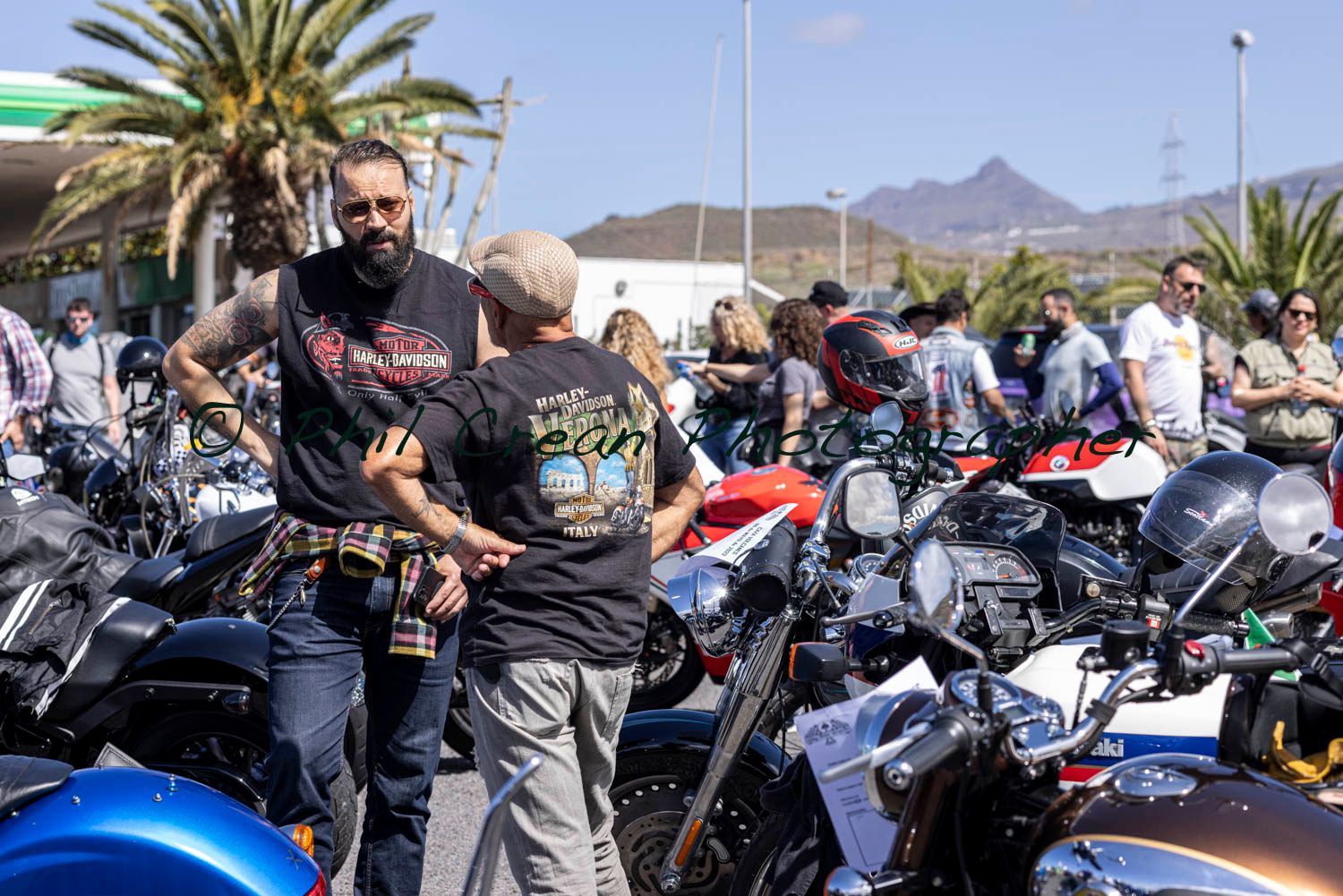 A group of people are standing in front of a row of motorcycles.