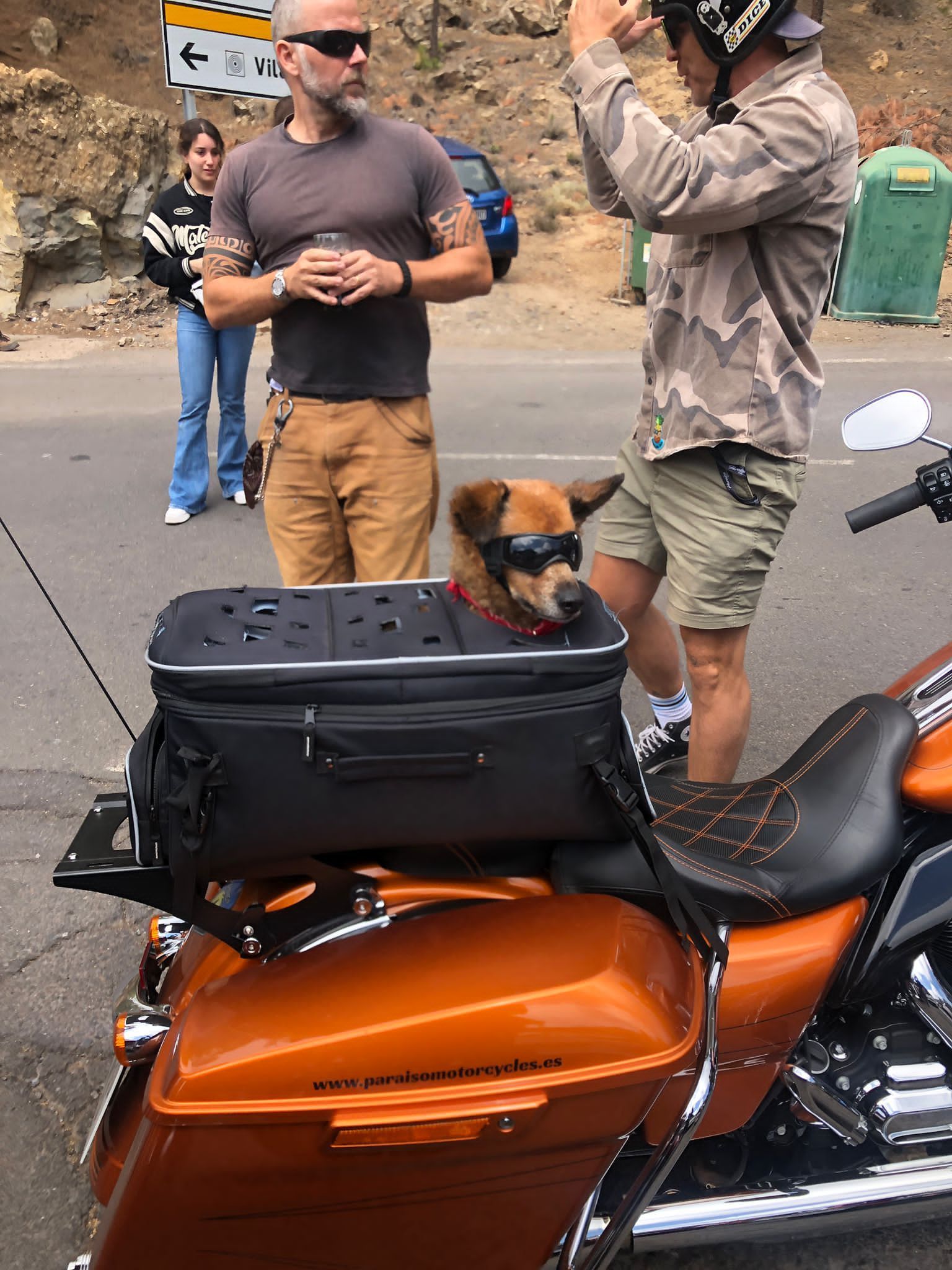 A man is standing next to a motorcycle with a dog in the back.