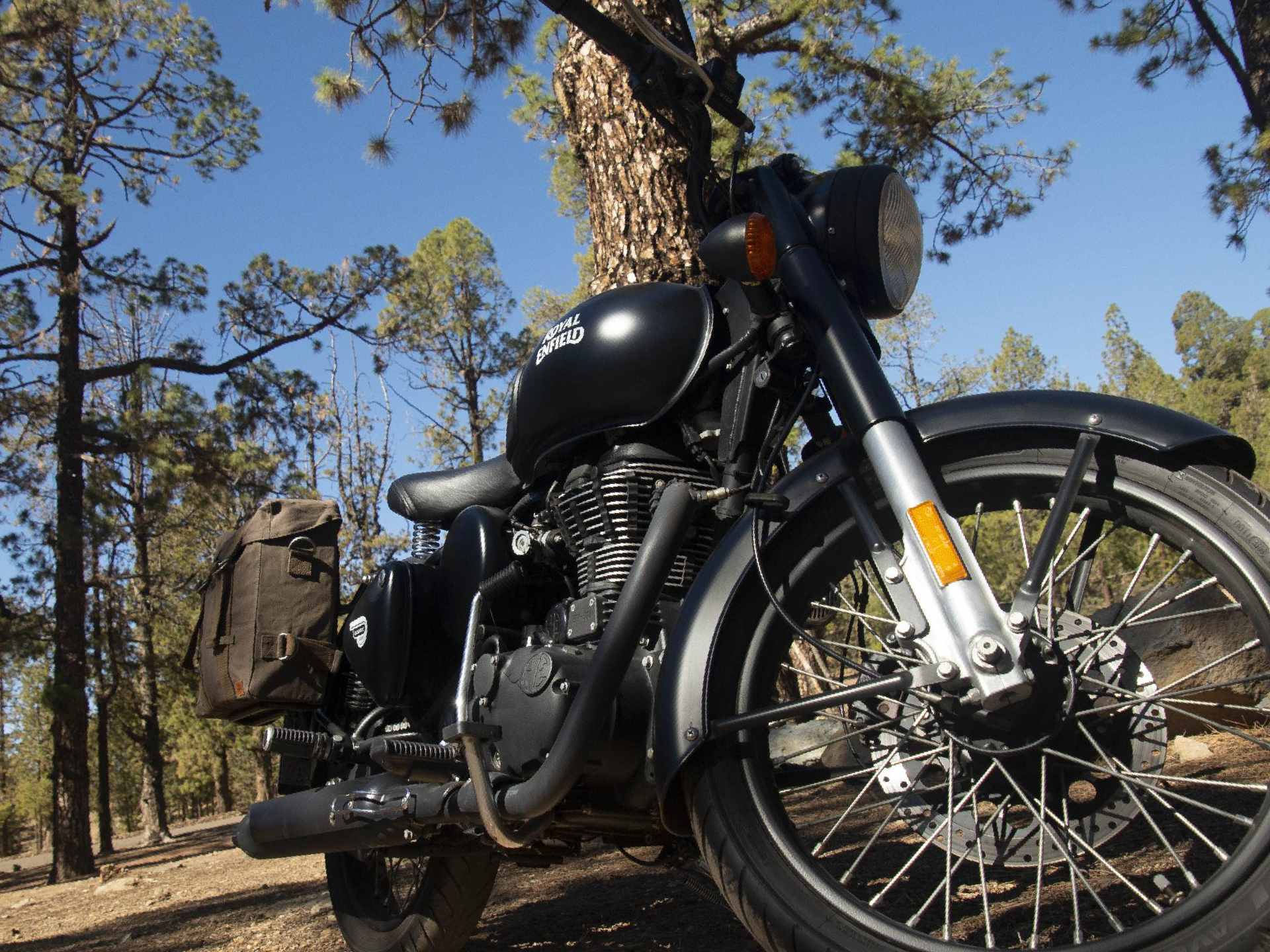 A black motorcycle is parked under a tree in the woods