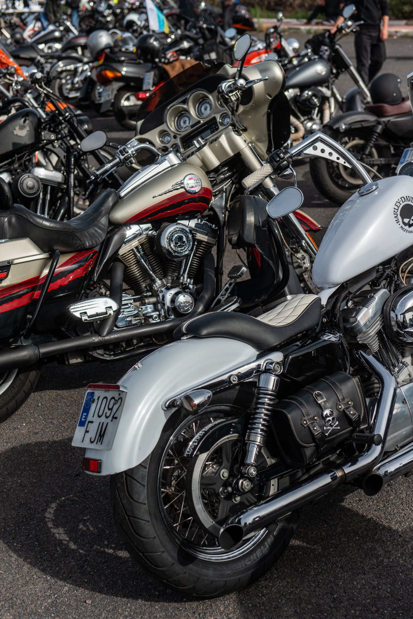 A row of harley davidson motorcycles are parked in a parking lot.
