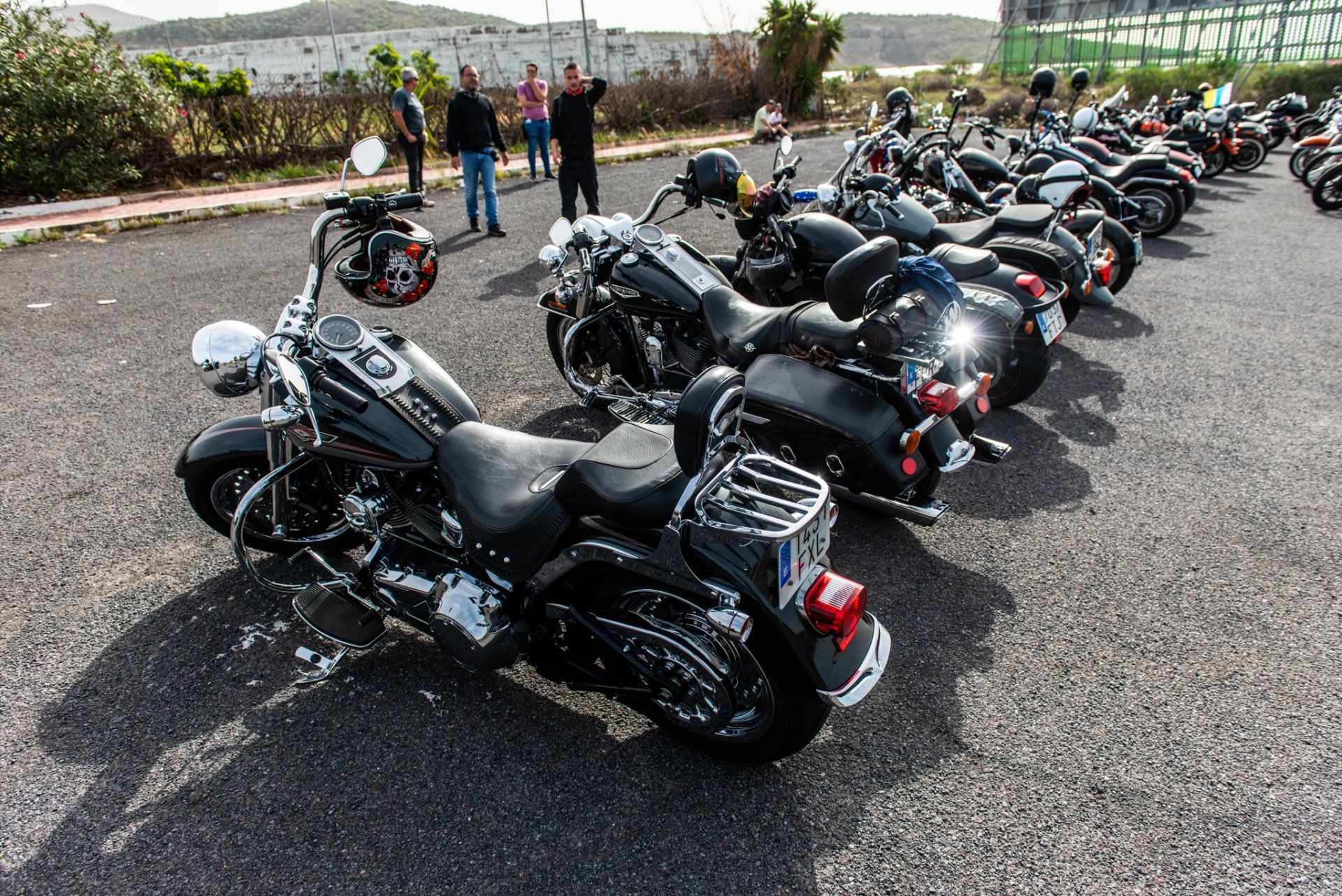 A row of motorcycles are parked in a parking lot