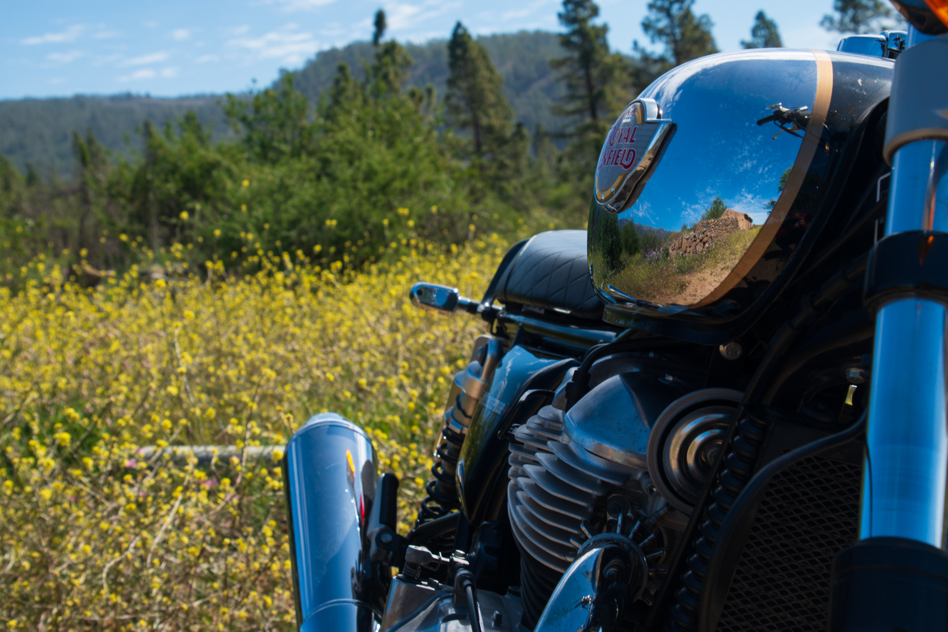 A motorcycle is parked in a field of yellow flowers.