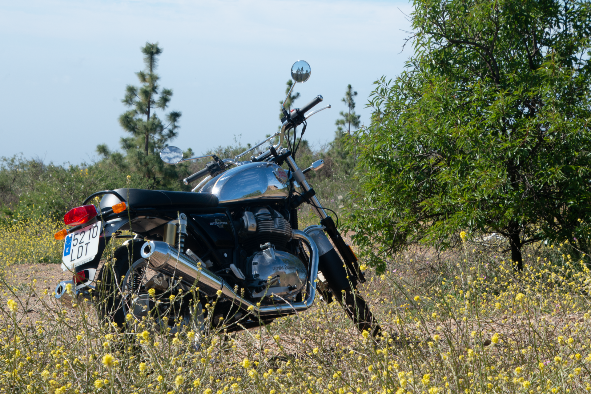 Royal Enfield for rent in tenerife.