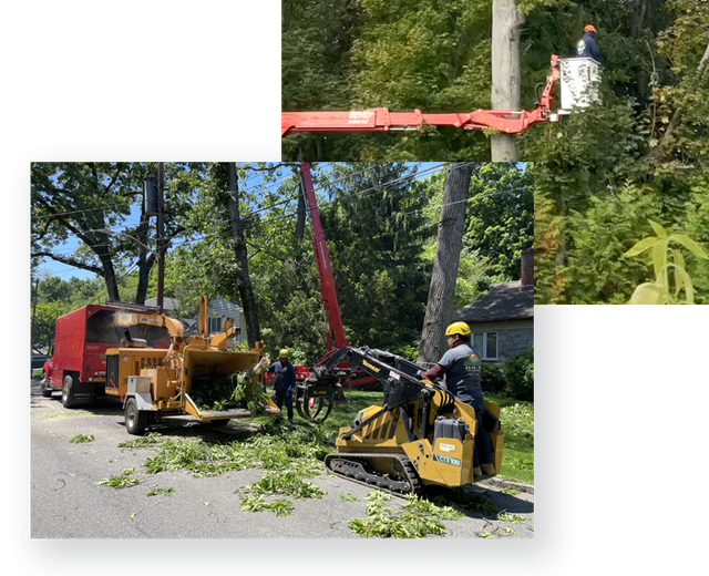 Tree Services - Mount Kisco, NY