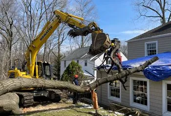 Yellow excavator removing tree from the roof of a house.